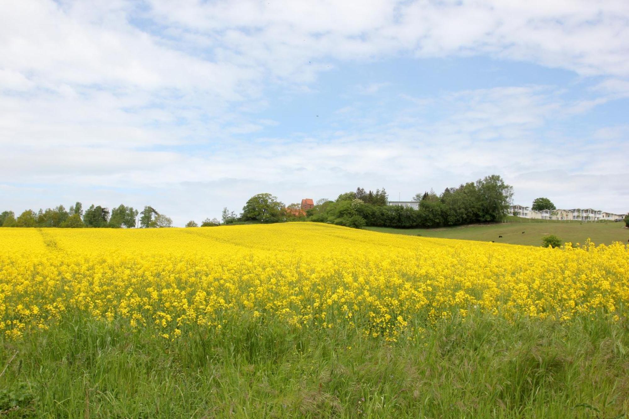 Mit Meerblick Und Balkon, Gratis Nutzung Vom Ahoi Erlebnisbad Und Sauna In Sellin - Meeresblick Fewo 33 Goehren  Exterior foto